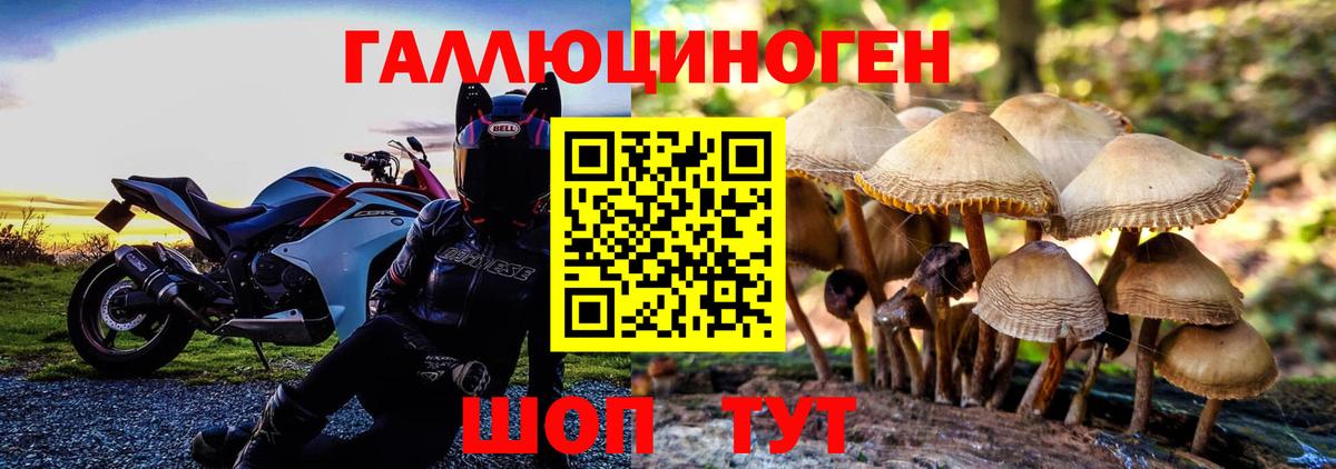 Псилоцибиновые грибы прущие грибы  Вход с VPN  Ачинск 