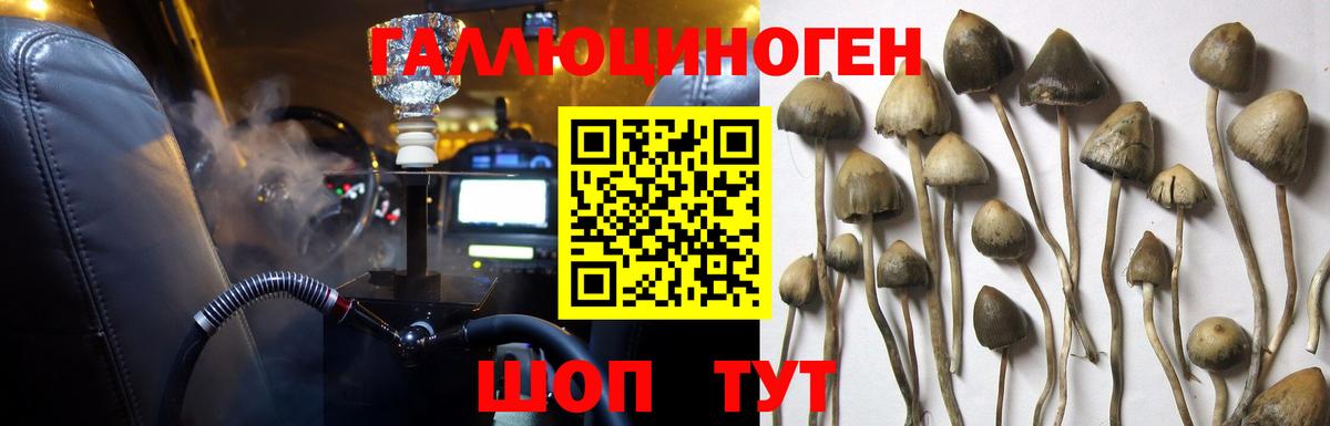 Псилоцибиновые грибы Magic Shrooms Ачинск
